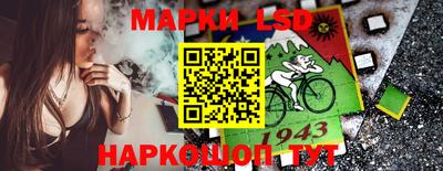 амф Камышлов