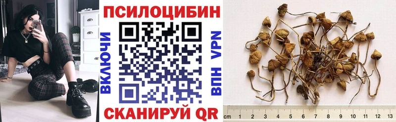 Галлюциногенные грибы MAGIC MUSHROOMS  МЕГА как войти  Михайловск 