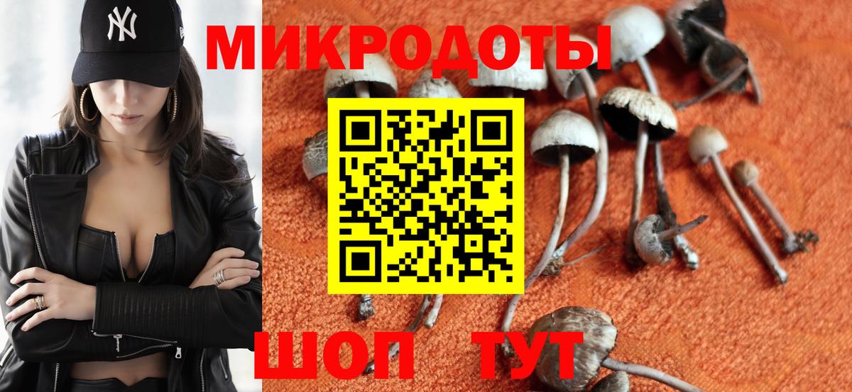Галлюциногенные грибы Magic Shrooms  Вход с VPN  Михайловск 