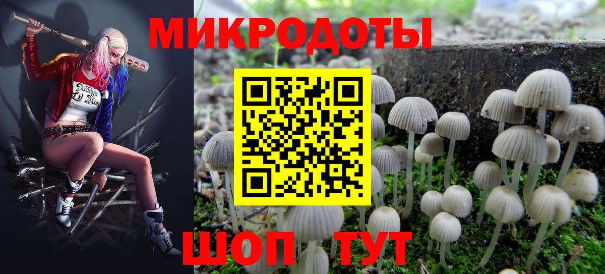 Псилоцибиновые грибы мицелий Михайловск