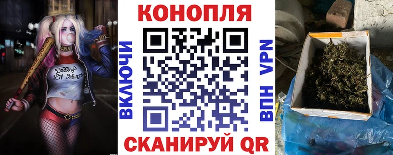 Каннабис индика  Михайловск 